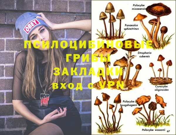 бутират Алзамай
